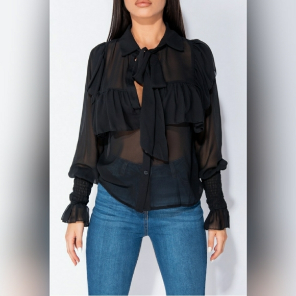 LAST ONE! Chiffon Pussy Bow Blouse - Picture 5 of 8